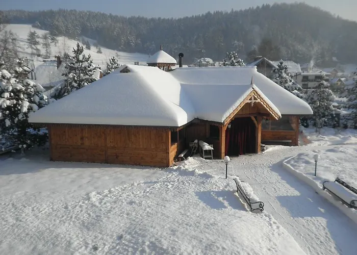 Hotel Hotel Muszyna 3*