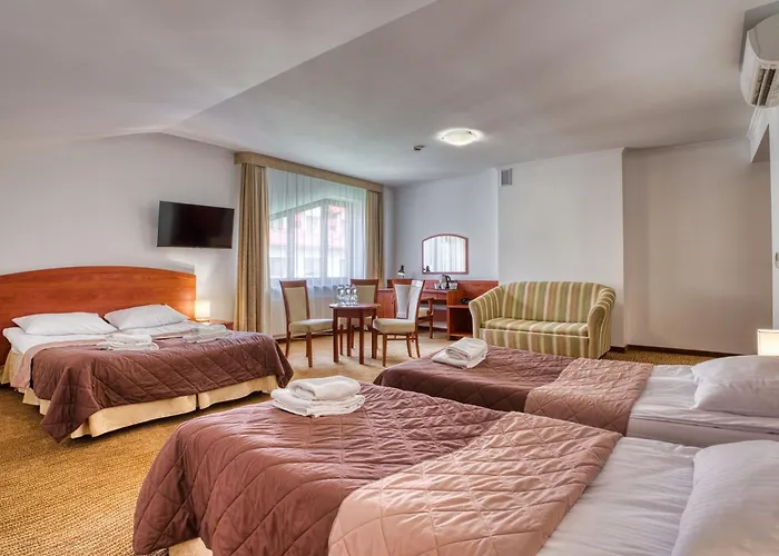 Hotel Hotel Muszyna