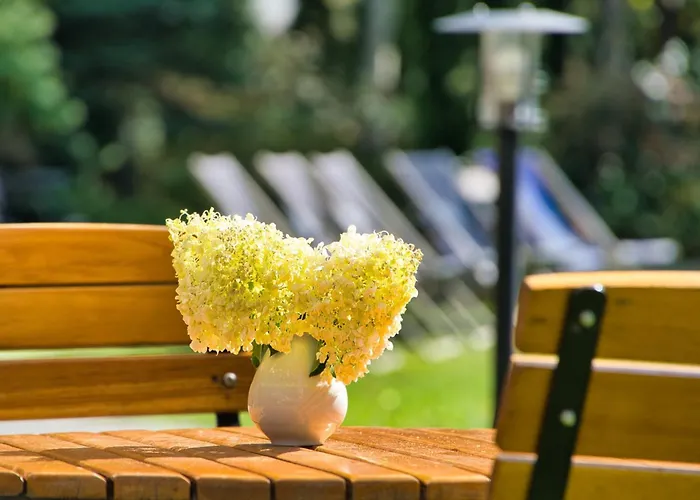 Hotel Muszyna Hotel Muszyna